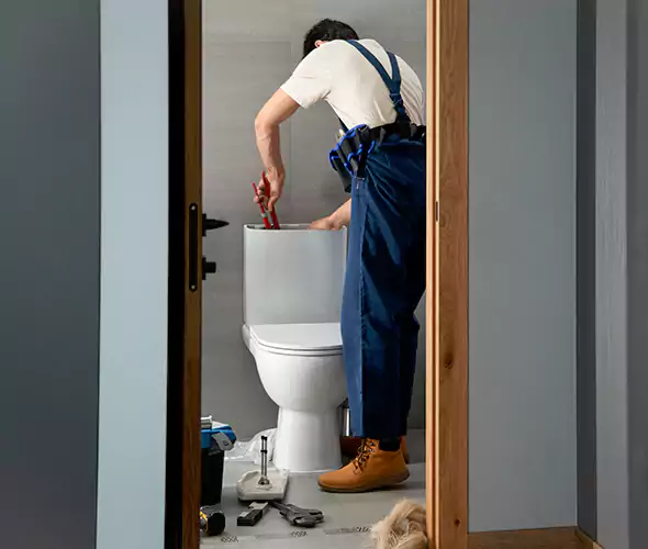 Professional Plumbers for Toilet Bowl Replacement in Aptos, CA: Schedule Affordable Toilet Replacement Services With Us