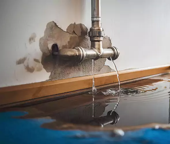 Professional Water Damage Restoration Experts in Aptos, CA — Fast, Reliable & Certified