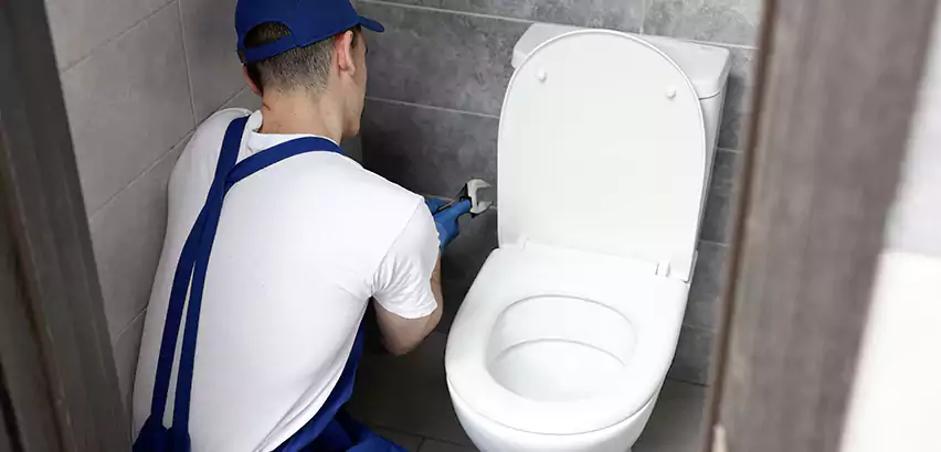 Toilet Lid Replacement in Aptos