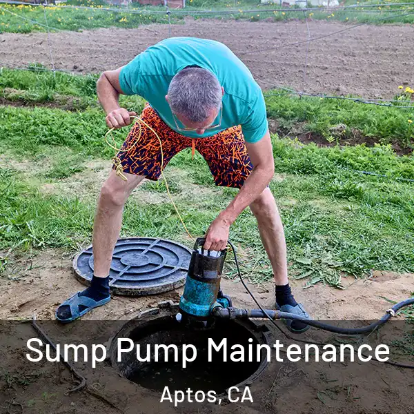  Sump Pump Maintenance Aptos, CA