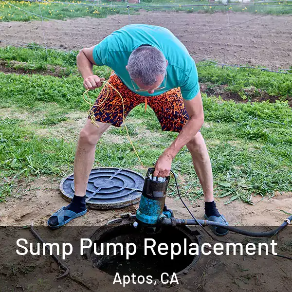  Sump Pump Replacement Aptos, CA