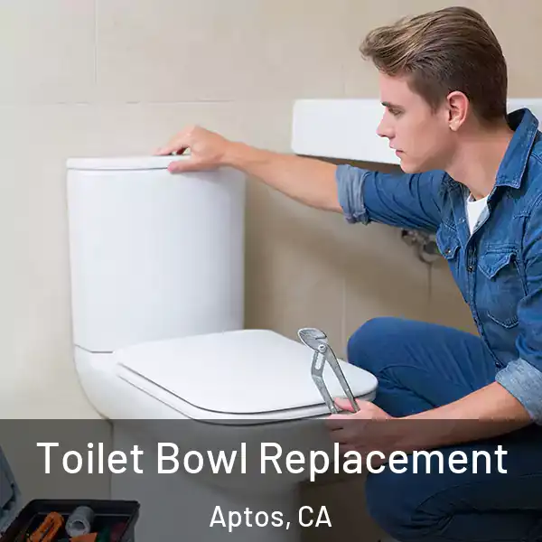  Toilet Bowl Replacement Aptos, CA