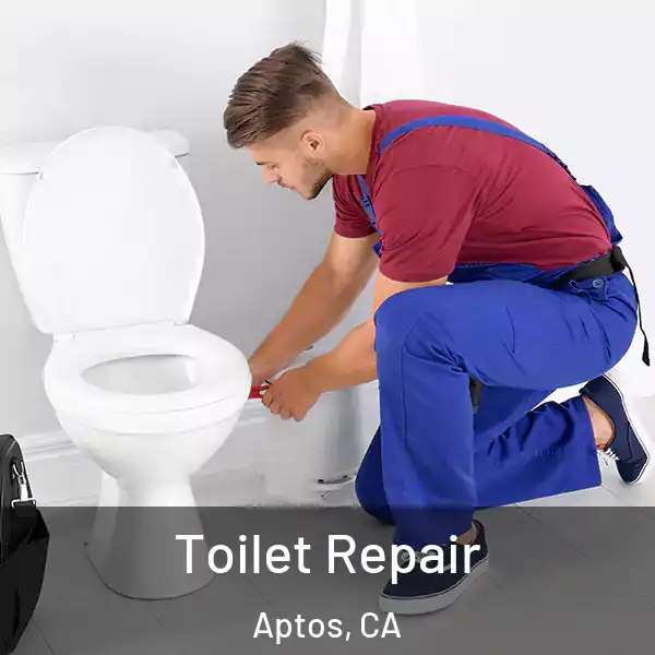  Toilet Repair Aptos, CA