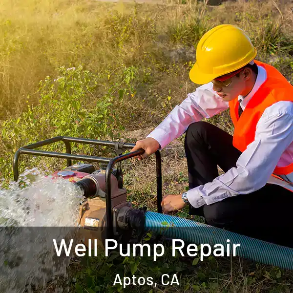  Well Pump Repair Aptos, CA